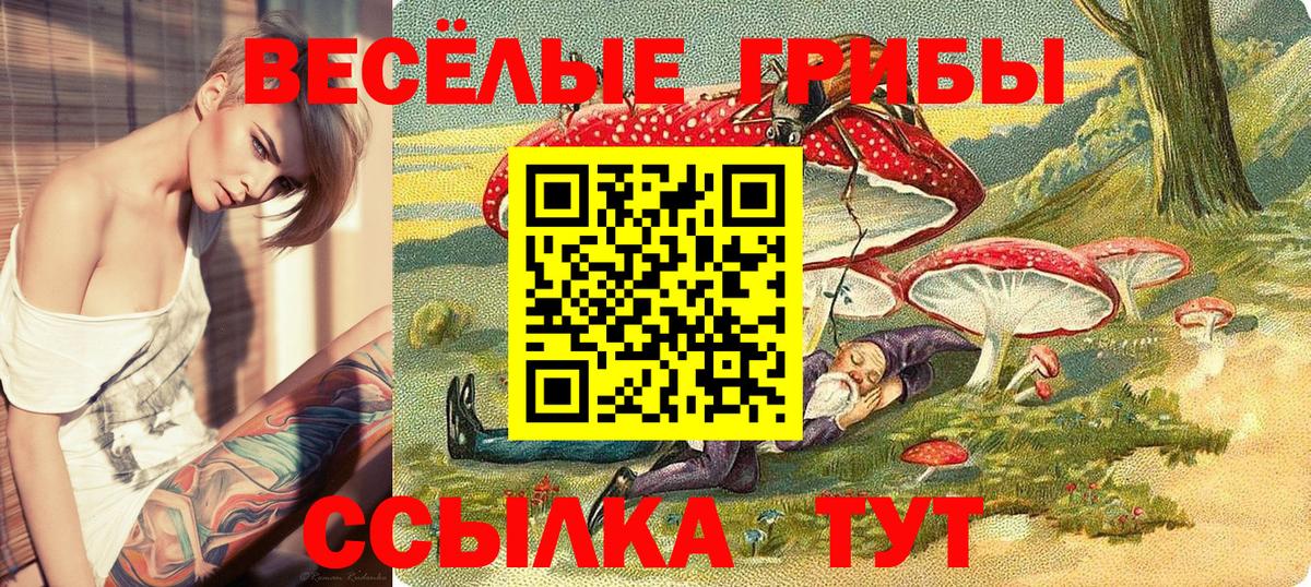 Галлюциногенные грибы Psilocybine cubensis  Вход с VPN  Чита 