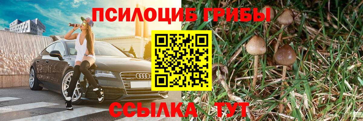 Псилоцибиновые грибы мухоморы Чита